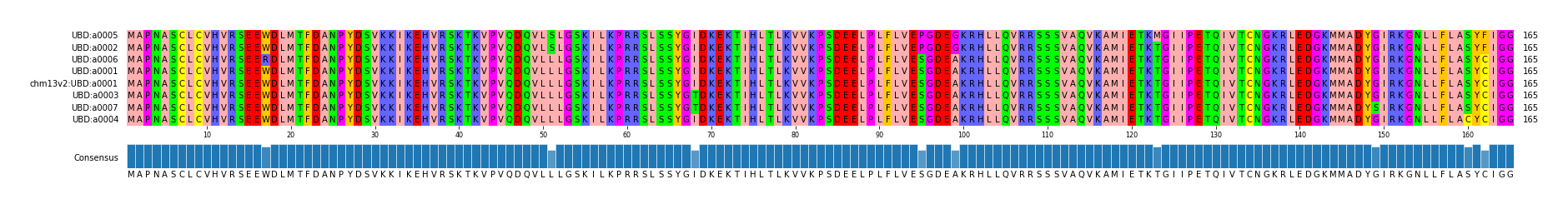 Multiple Alignments (by translate haplotype similarity)