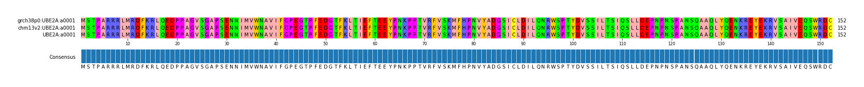 Multiple Alignments (by translate haplotype similarity)
