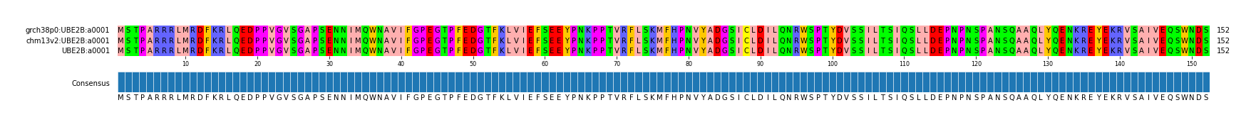 Multiple Alignments (by translate haplotype similarity)