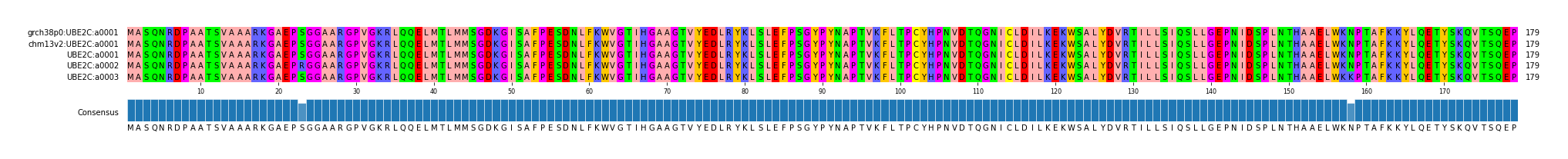 Multiple Alignments (by translate haplotype frequency)