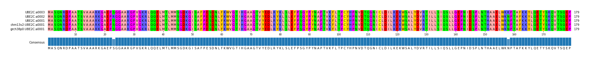 Multiple Alignments (by translate haplotype similarity)