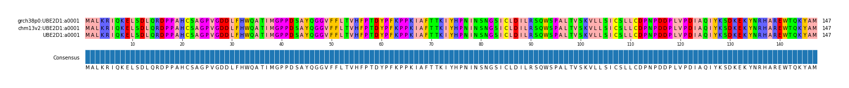 Multiple Alignments (by translate haplotype similarity)
