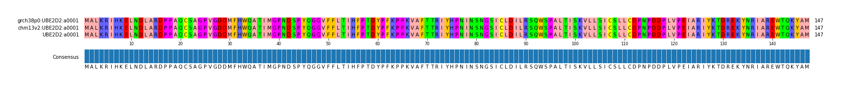 Multiple Alignments (by translate haplotype similarity)