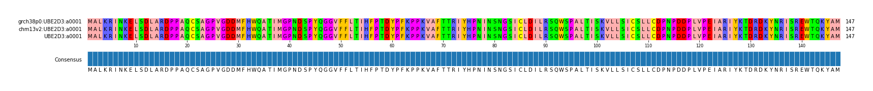 Multiple Alignments (by translate haplotype similarity)