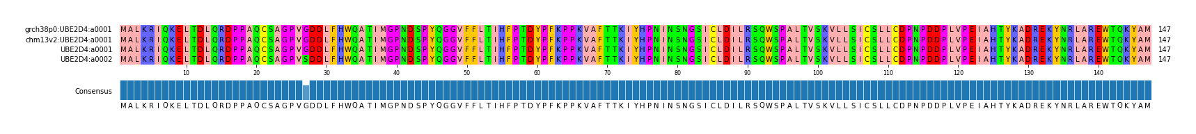 Multiple Alignments (by translate haplotype similarity)