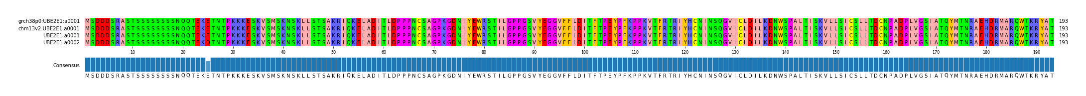 Multiple Alignments (by translate haplotype similarity)