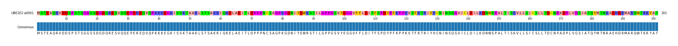 Multiple Alignments (by translate haplotype similarity)
