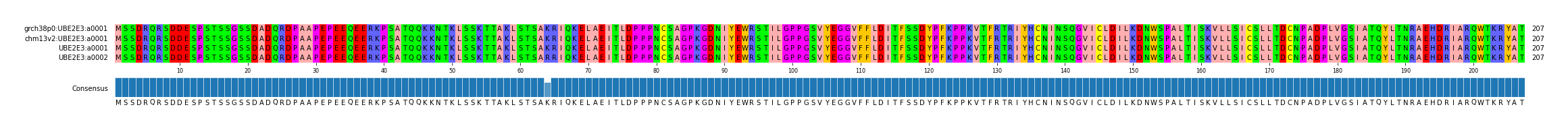 Multiple Alignments (by translate haplotype similarity)