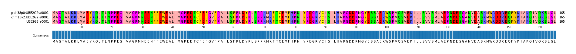 Multiple Alignments (by translate haplotype frequency)