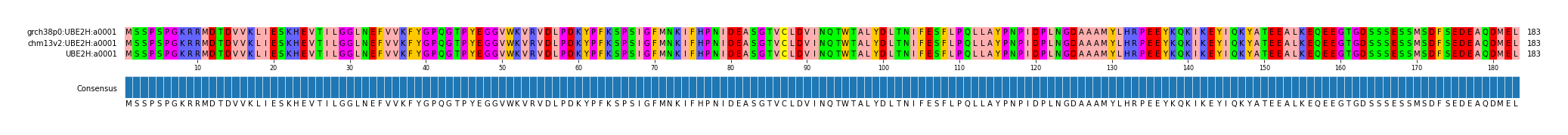 Multiple Alignments (by translate haplotype similarity)