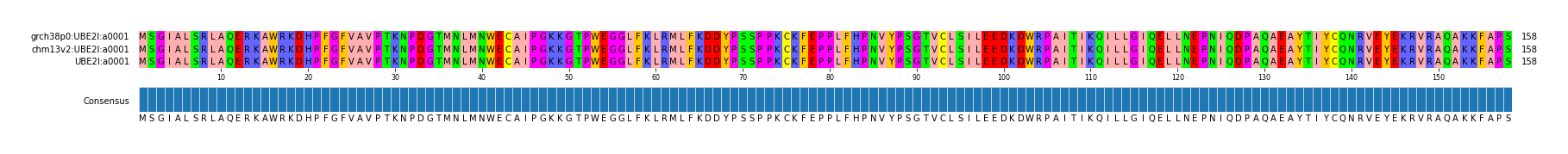 Multiple Alignments (by translate haplotype similarity)