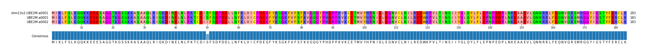 Multiple Alignments (by translate haplotype frequency)