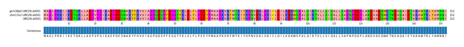Multiple Alignments (by translate haplotype similarity)