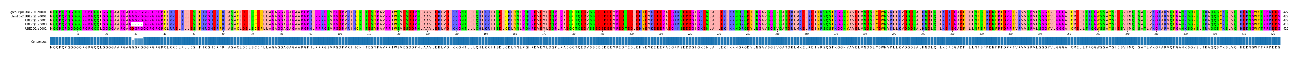 Multiple Alignments (by translate haplotype similarity)