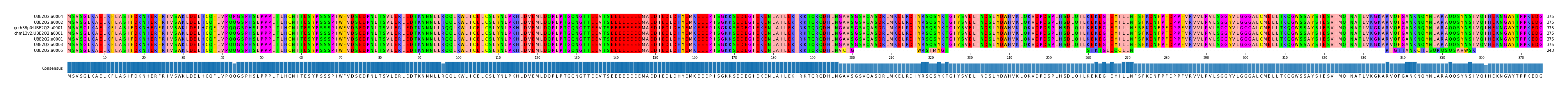 Multiple Alignments (by translate haplotype similarity)