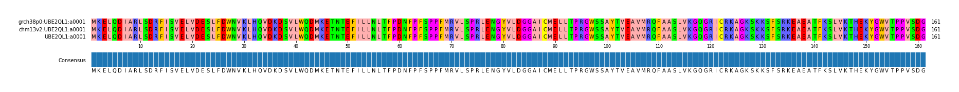 Multiple Alignments (by translate haplotype similarity)