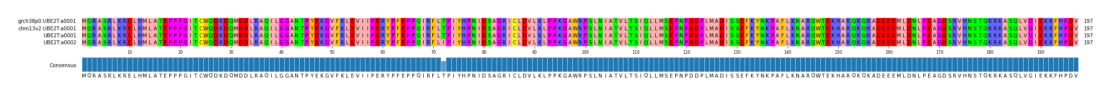 Multiple Alignments (by translate haplotype similarity)