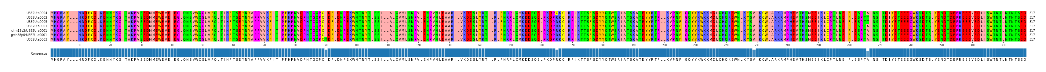 Multiple Alignments (by translate haplotype similarity)