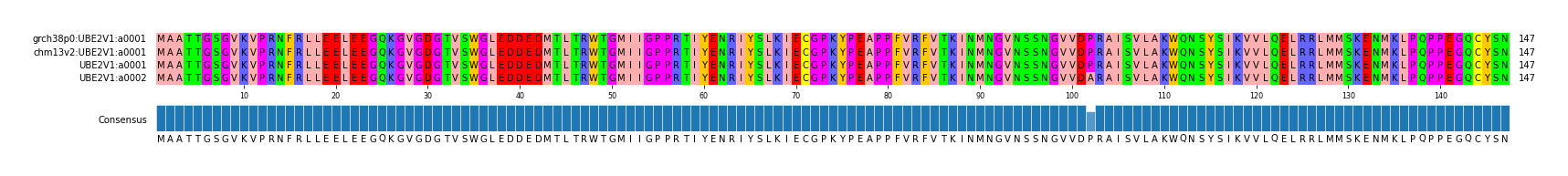 Multiple Alignments (by translate haplotype similarity)