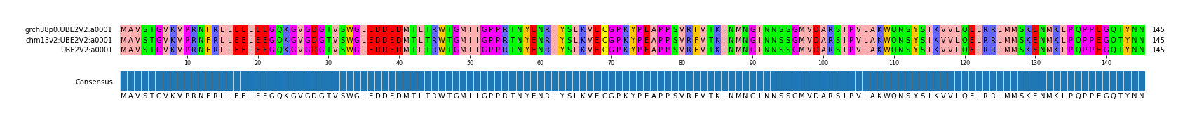 Multiple Alignments (by translate haplotype similarity)