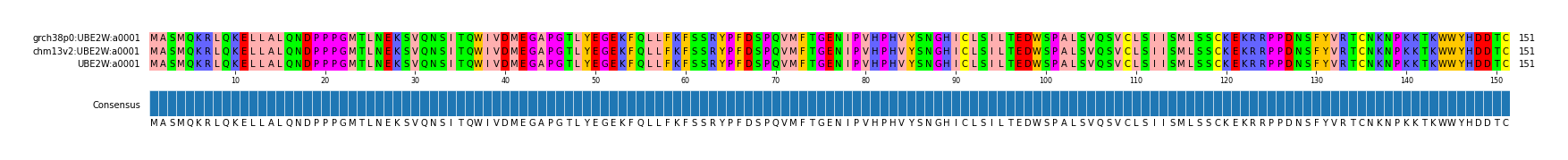 Multiple Alignments (by translate haplotype similarity)