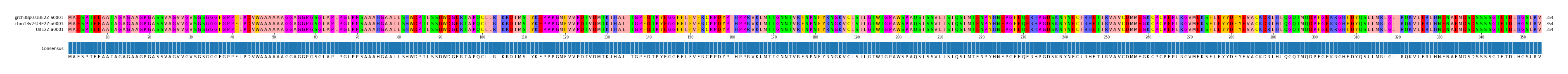Multiple Alignments (by translate haplotype similarity)