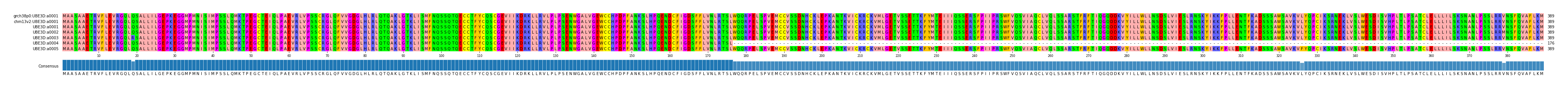 Multiple Alignments (by translate haplotype frequency)