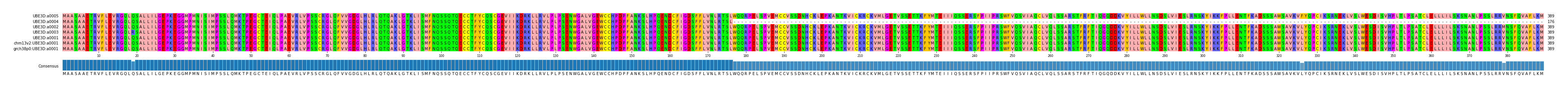 Multiple Alignments (by translate haplotype similarity)