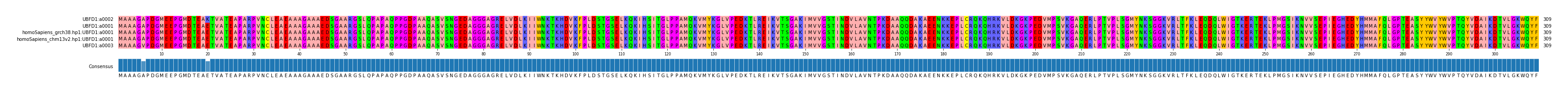Multiple Alignments (by translate haplotype similarity)