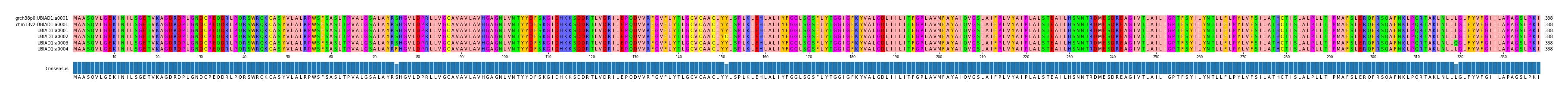Multiple Alignments (by translate haplotype frequency)