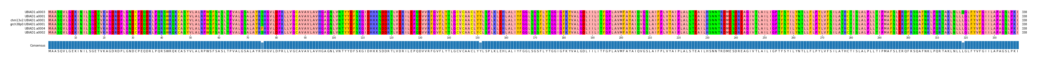 Multiple Alignments (by translate haplotype similarity)