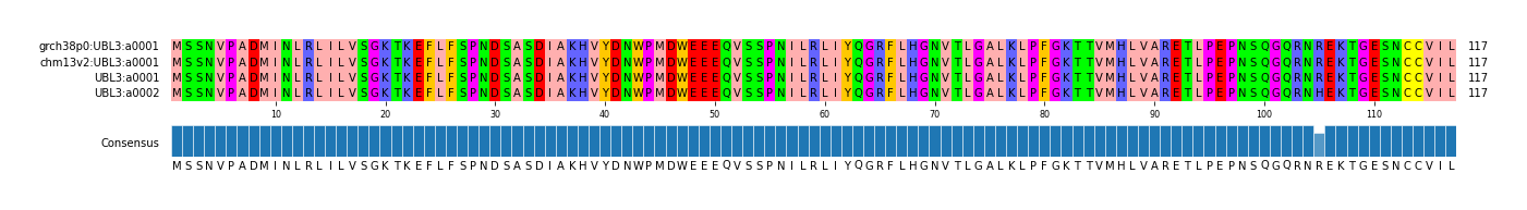 Multiple Alignments (by translate haplotype similarity)