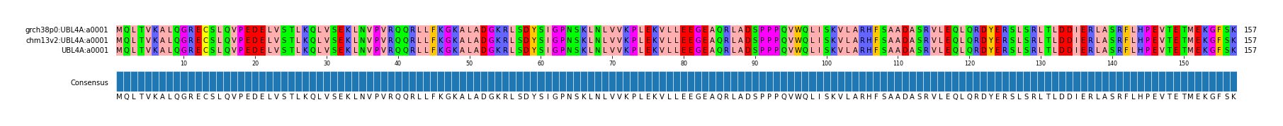 Multiple Alignments (by translate haplotype similarity)