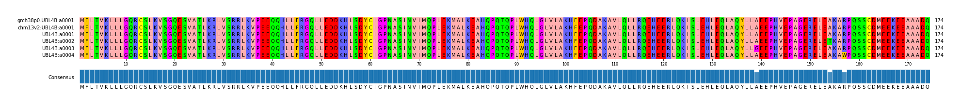 Multiple Alignments (by translate haplotype frequency)