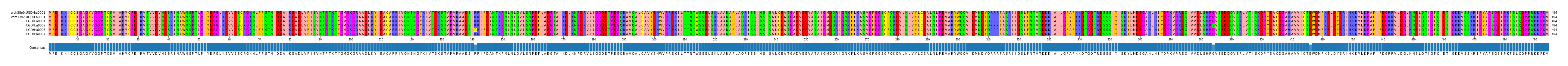 Multiple Alignments (by translate haplotype frequency)