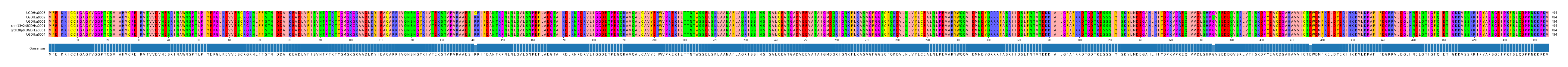 Multiple Alignments (by translate haplotype similarity)