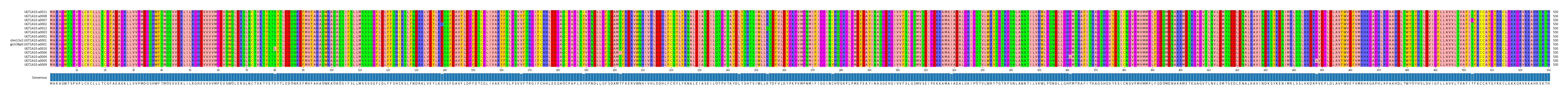 Multiple Alignments (by translate haplotype similarity)