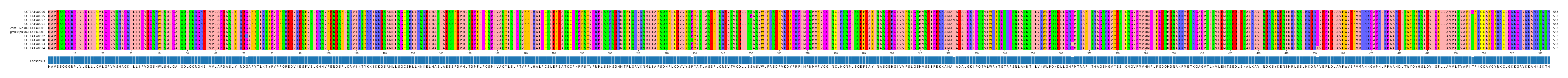 Multiple Alignments (by translate haplotype similarity)