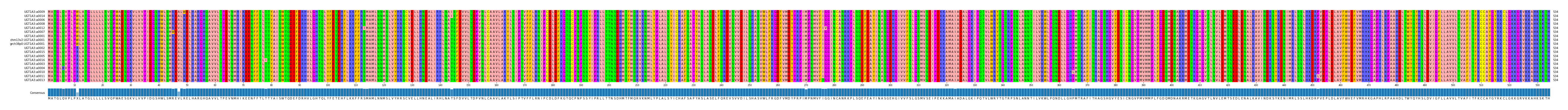 Multiple Alignments (by translate haplotype similarity)