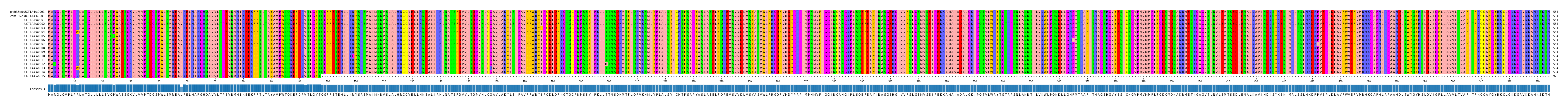 Multiple Alignments (by translate haplotype frequency)
