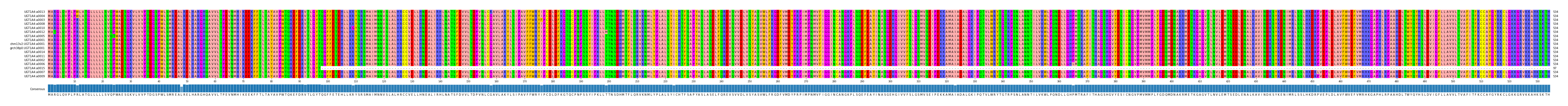 Multiple Alignments (by translate haplotype similarity)