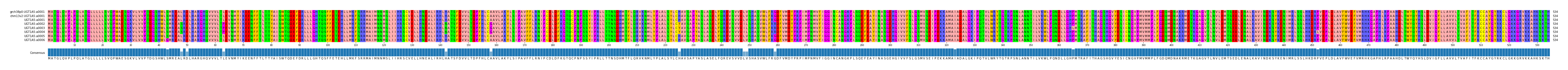 Multiple Alignments (by translate haplotype frequency)
