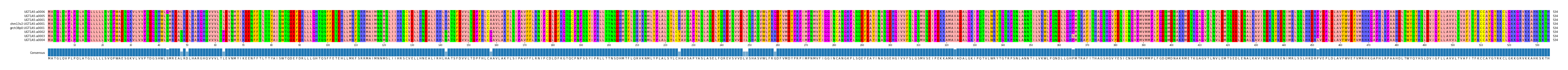 Multiple Alignments (by translate haplotype similarity)