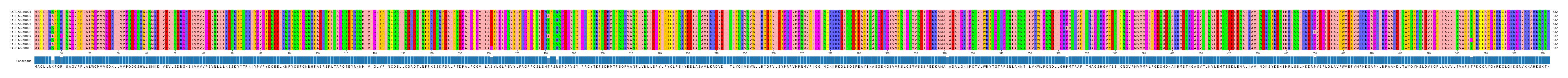 Multiple Alignments (by translate haplotype frequency)