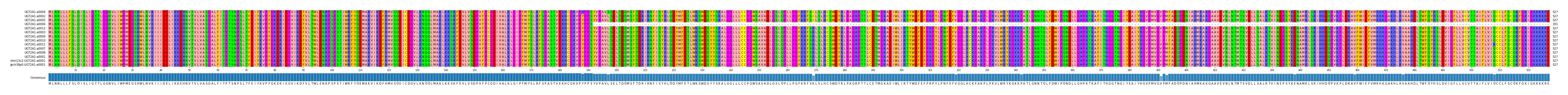 Multiple Alignments (by translate haplotype similarity)