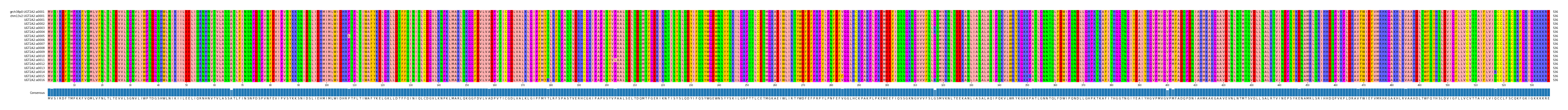 Multiple Alignments (by translate haplotype frequency)