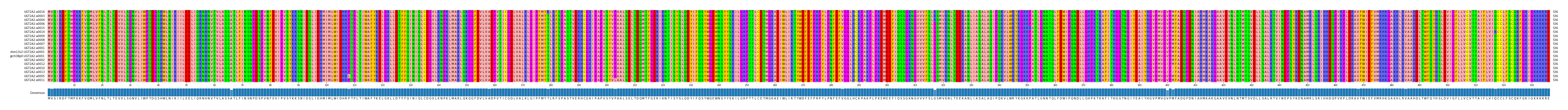 Multiple Alignments (by translate haplotype similarity)