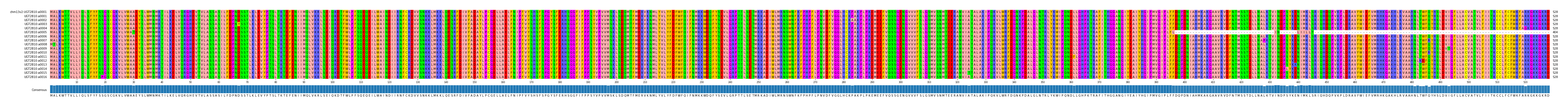 Multiple Alignments (by translate haplotype frequency)