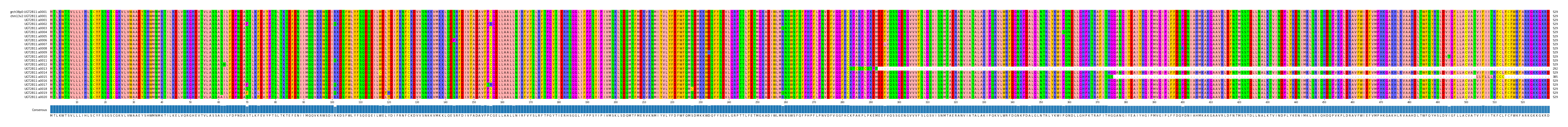 Multiple Alignments (by translate haplotype frequency)