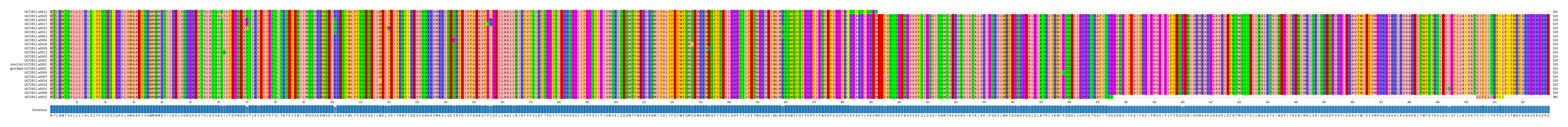 Multiple Alignments (by translate haplotype similarity)